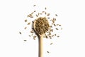 Wooden spoon with wheat grains on white background Royalty Free Stock Photo