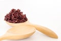 Wooden spoon with brown rice ready to eat. Deep Purple rice, Homnil rice. Royalty Free Stock Photo