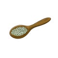 wooden spoon with chia seeds