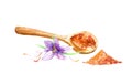 Wooden spoon, curry spices and saffron.Watercolor