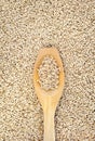 Wooden spoon and dried husked oats