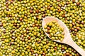 Selective focus on wooden spoon with dried mung beans. This type of bean is often sprouted to make bean sprouts