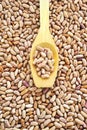 Wooden spoon and dried pinto beans Royalty Free Stock Photo