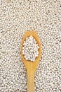 Wooden spoon and dried white navy beans Royalty Free Stock Photo