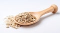 a wooden spoon with fennel seeds scattered on a white background