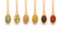 Wooden Spoon filled with various spices Royalty Free Stock Photo