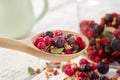 Wooden spoon of fruit tea with apples, orange, red and black currant berries. Glass jar of dried fruit tea on background Royalty Free Stock Photo