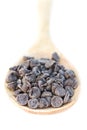 Wooden spoon full of chocolate chips Royalty Free Stock Photo