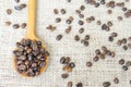 Wooden spoon full with roasted coffee beans Royalty Free Stock Photo