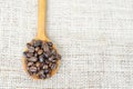 Wooden spoon full with roasted coffee beans Royalty Free Stock Photo