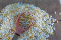 Wooden spoon with hominy corn inside and yellow and white hominy corn on a wooden surface Royalty Free Stock Photo