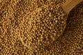 Wooden spoon and mustard seeds, close up Royalty Free Stock Photo