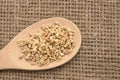 Wooden spoon. Neutral background. Buckwheat grains. Healthy food