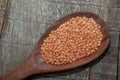 Wooden spoon with pink lentil on rustic wooden board