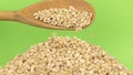 Wooden spoon pours grains pearl barley at heap of pearl barley on a green screen