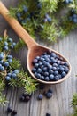 Wooden spoon with seeds of juniper. Royalty Free Stock Photo