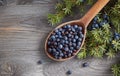 Wooden spoon with seeds of juniper. Royalty Free Stock Photo