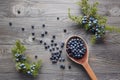 Wooden spoon with seeds of juniper. Royalty Free Stock Photo