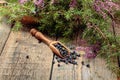 Wooden spoon with seeds of juniper Royalty Free Stock Photo