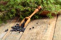 Wooden spoon with seeds of juniper Royalty Free Stock Photo