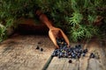 Wooden spoon with seeds of juniper Royalty Free Stock Photo