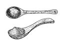 Wooden spoon with spices, salt, sugar, flour, cereals set. Large wooden spoon, vintage. Culinary vector sketch