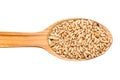 Wooden Spoon With Wheat Grains Royalty Free Stock Photo