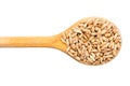 Wooden Spoon With Wheat Grains Royalty Free Stock Photo