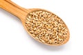 Wooden Spoon With Wheat Seeds
