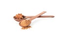 Wooden spoons with cinnamon powder and anise isolated Royalty Free Stock Photo