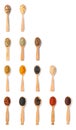 Wooden spoons with different spices and herbs on white background, top view. Royalty Free Stock Photo