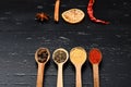 Wooden spoons with paprika, turmeric, herbs and pepper Royalty Free Stock Photo