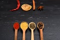 Wooden spoons with paprika, turmeric, herbs and pepper Royalty Free Stock Photo