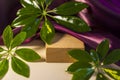 Wooden square stand on a light shadow background. An empty storefront without a brand. A showcase for cosmetics. Product