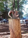 Wooden squirrel on a trunk Royalty Free Stock Photo