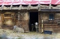 Wooden stable with sheeps Royalty Free Stock Photo