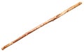 Wooden staff from tree trunk isolated