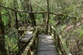 Wooden stair way to jungle among beautiful green foliage background at Doi Inthanon national park , Chiang Mai , Thailand. Royalty Free Stock Photo