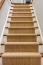Wooden staircase with carpet runner