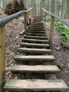 Wooden staircase in the forest among the trees. Wooden climbing path in the park. Steps leading to the reserve Royalty Free Stock Photo