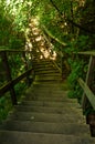 Wooden staircase in green forest on a summer sunny day. Vertical travel photo