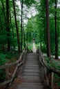 Wooden staircase hiking road Sonian woods forest, Brussels, Belgium