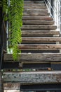 Wooden staircase of home vintage style Royalty Free Stock Photo