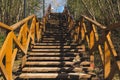 Wooden staircase in the park. stairs made from the wood in the forest Royalty Free Stock Photo