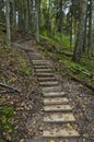 Wooden stairs as a part of hiking trail. Royalty Free Stock Photo