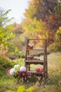 Wooden stairs in the autumn park in nature, on the stairs cookies, apples, honey Royalty Free Stock Photo