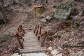 Wooden stairs Royalty Free Stock Photo