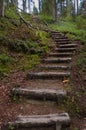 Wooden stairs in forest. Royalty Free Stock Photo