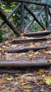 wooden stairs in the forest covered with autumn leaves Royalty Free Stock Photo