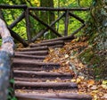 wooden stairs in the forest covered with autumn leaves Royalty Free Stock Photo